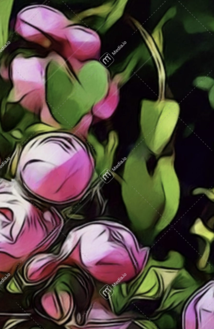 Your Image